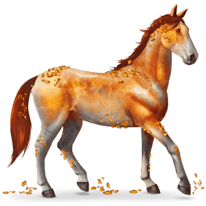 ambra, cavallo di gemma
