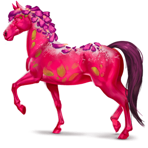 loukoum, cavallo divino