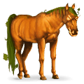 cavallo da corsa zucca