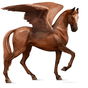 pegaso da corsa hanoverian castano