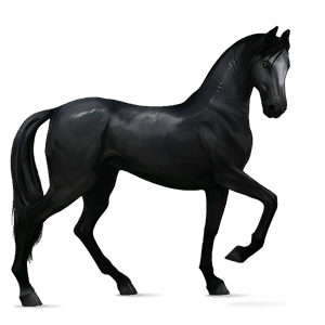 cavallo da corsa hanoverian nero