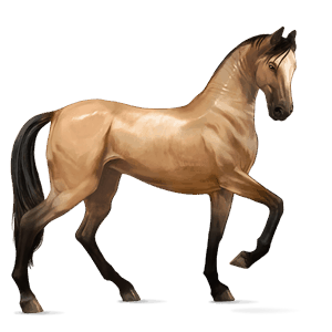 cavallo da corsa daino