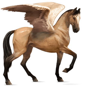 pegaso da corsa hanoverian baio rossastro