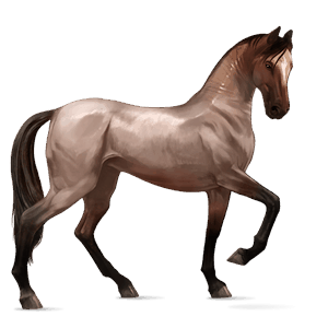 cavallo da corsa quarter horse roano