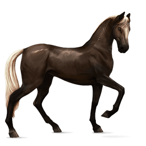 cavallo da corsa purosangue spagnolo castano biondo platino