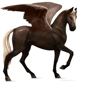 pegaso da corsa nero