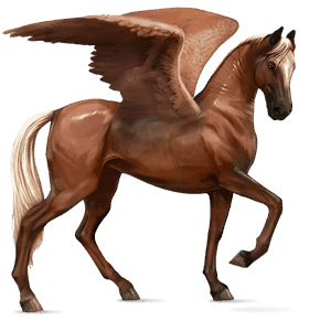 pegaso da corsa hanoverian baio
