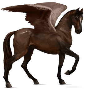 pegaso da corsa akhal-teke baio