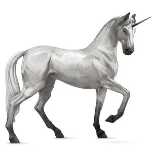 unicorno da corsa nero