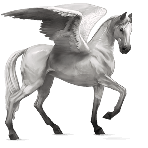 pegaso da corsa hanoverian castano biondo platino