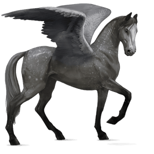 pegaso da corsa hanoverian castano biondo platino