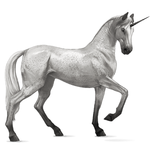 unicorno da corsa cavallo arabo baio