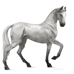 cavallo da corsa grigio pezzato