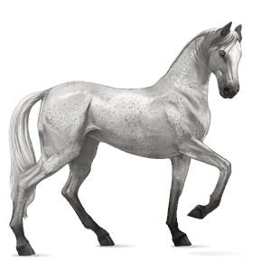 cavallo da corsa finnico universale castano biondo platino