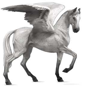 pegaso da corsa akhal-teke castano