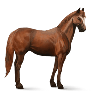 cavallo da corsa quarter horse castano biondo platino