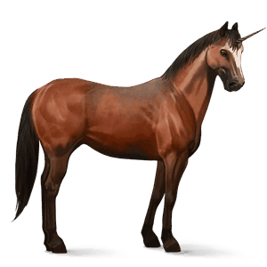 unicorno da corsa baio rossastro