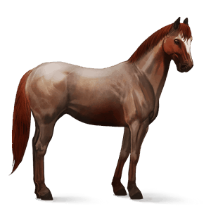 cavallo da corsa lipizzano grigio pezzato