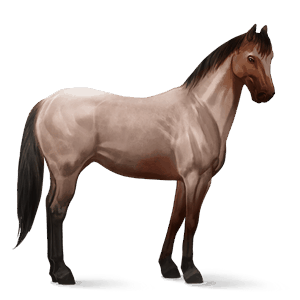 cavallo da corsa roano rosso