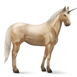 unicorno da corsa appaloosa manto baio