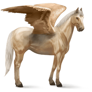 pegaso da corsa trottatore francese baio