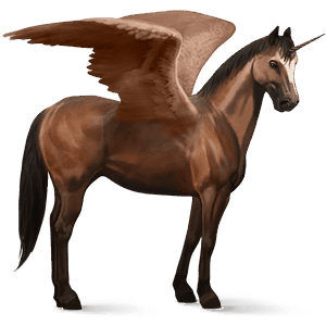 unicorno da corsa alato berbero grullo