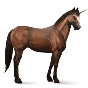 unicorno da corsa selle français baio rossastro