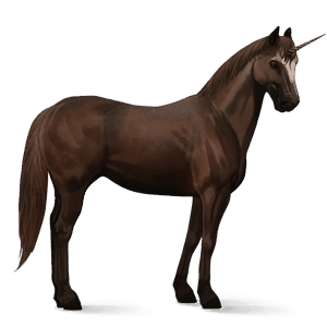 unicorno pony shetland castano biondo scuro