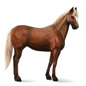 cavallo da corsa quarter horse castano biondo platino