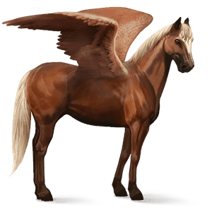 pegaso da corsa quarter horse castano biondo platino