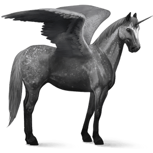 unicorno da corsa alato mangalarga marchador grigio pezzato