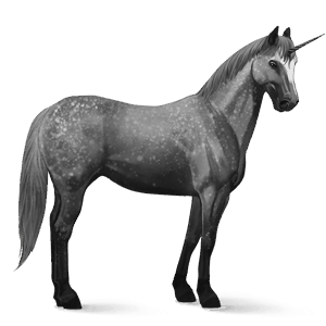 unicorno da corsa grigio pezzato