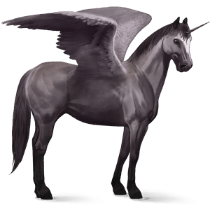 unicorno da corsa alato berbero grullo