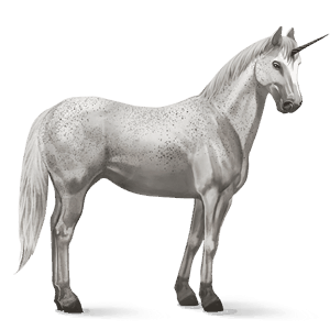 unicorno da corsa quarter horse grigio chiaro