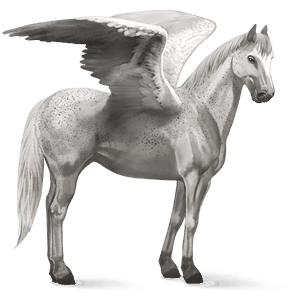 pegaso da corsa hanoverian grigio pezzato