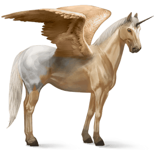 unicorno da corsa alato appaloosa manto palomino