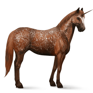 unicorno da corsa mustang baio