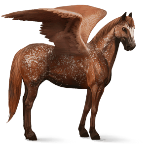 pegaso da corsa knabstrupper grigio pezzato