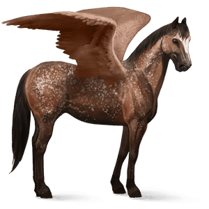 pegaso da corsa appaloosa fiocchi di neve castano