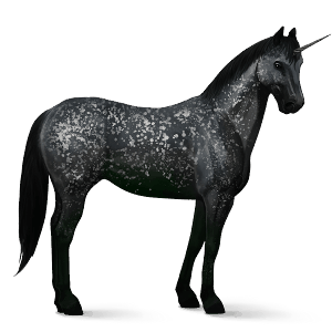 unicorno da corsa cavallo arabo grigio pezzato