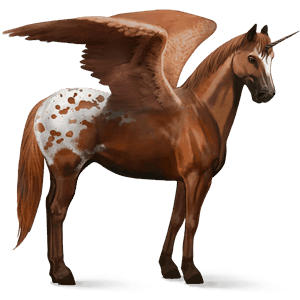 unicorno da corsa alato appaloosa manto castano maculato