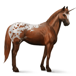 unicorno da corsa manto castano maculato