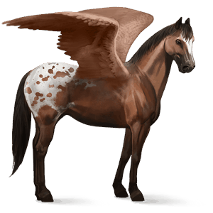 pegaso da corsa manto baio maculato