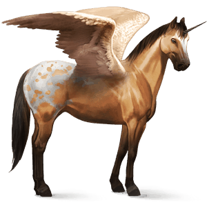 unicorno da corsa alato criollo argentino tovero baio