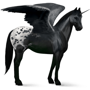 unicorno da corsa alato quarter horse grullo