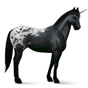 unicorno da corsa purosangue spagnolo grigio chiaro