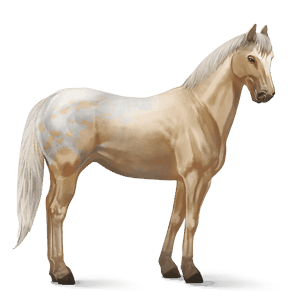 cavallo da corsa hanoverian grullo