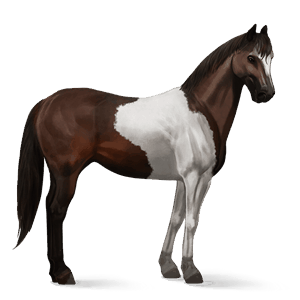 cavallo da corsa paint horse tobiano baio scuro
