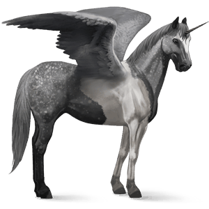 unicorno da corsa alato paint horse tobiano grigio pezzato