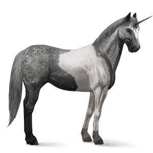 unicorno da corsa tobiano grigio pezzato